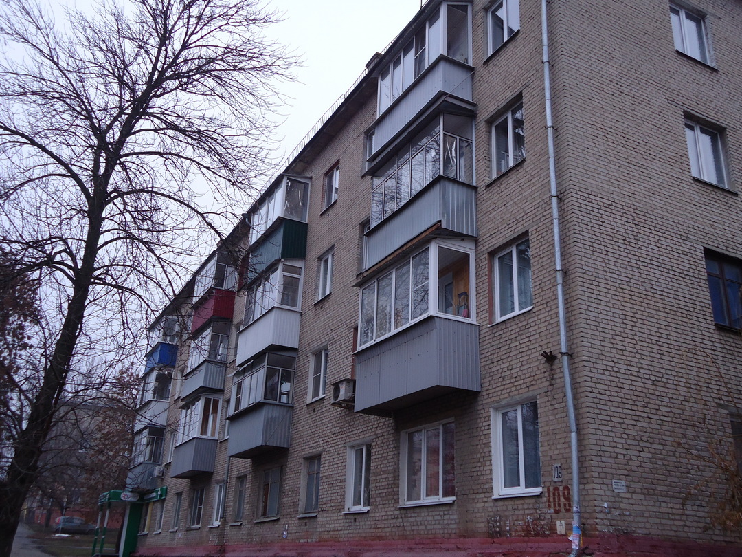 Мичуринская 109