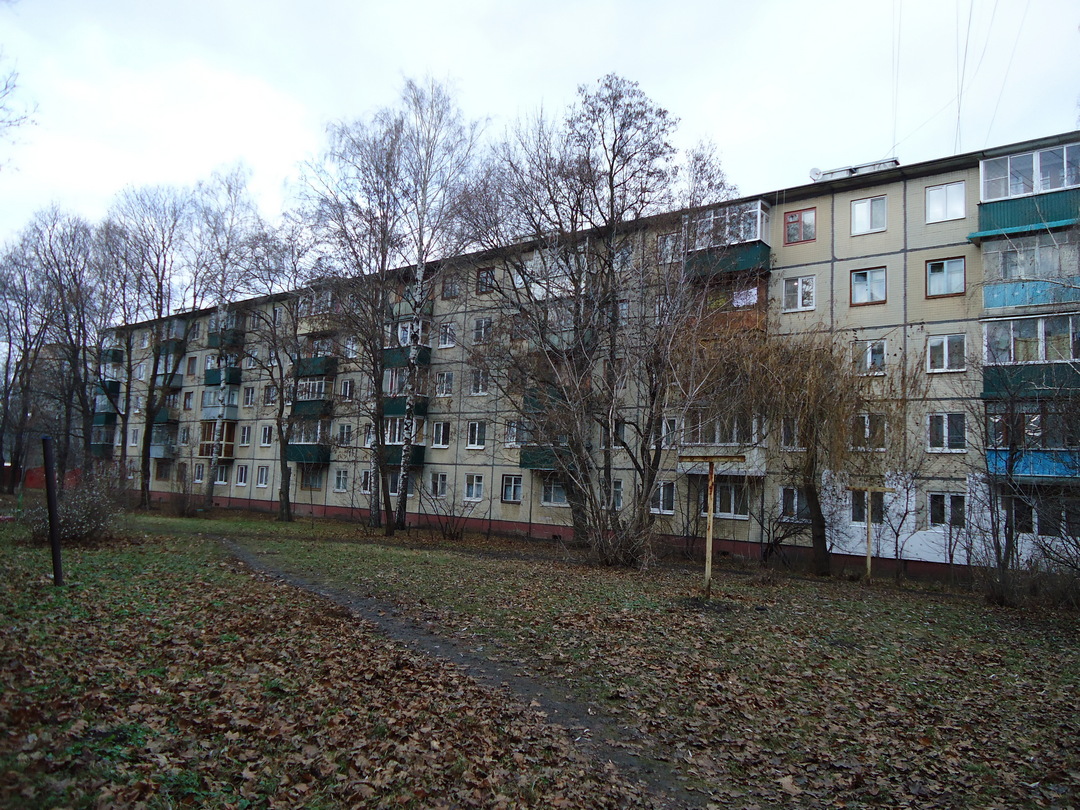 Никифоровская 96